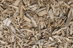 biomass boilers Drigg